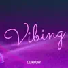 Lil Kwony - Vibing - Single